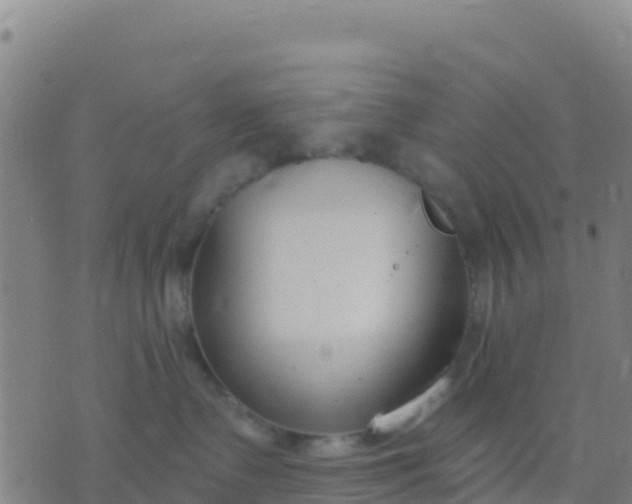 X0000074320335200609082013