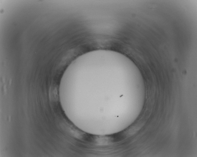 X0000074320336200609082013