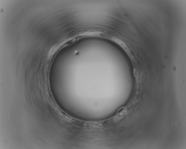 X0000074320337200609082012