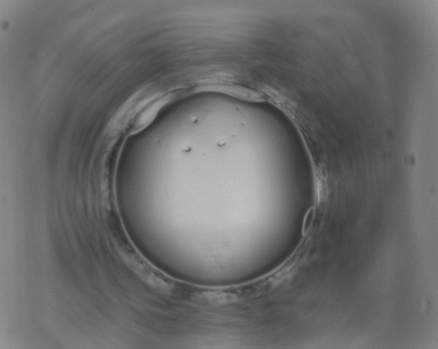 X0000074320339200609082012