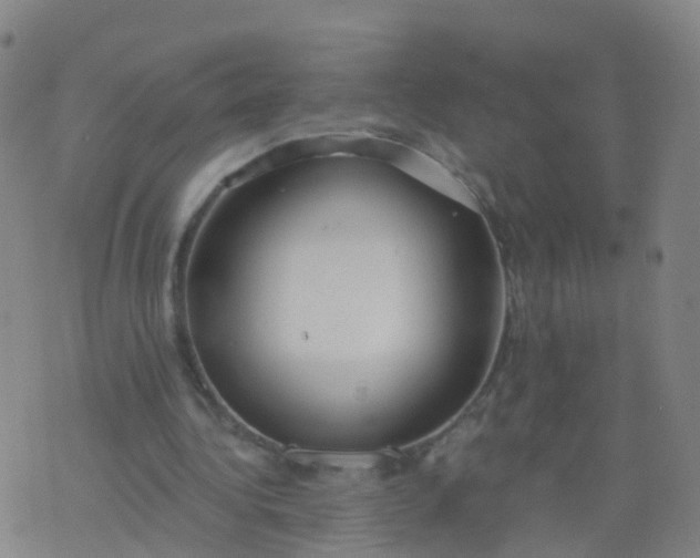 X0000074320340200609082012