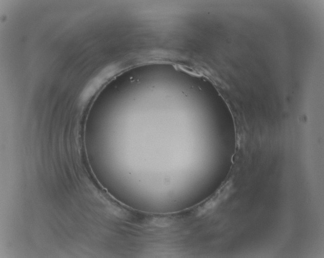 X0000074320341200609082012