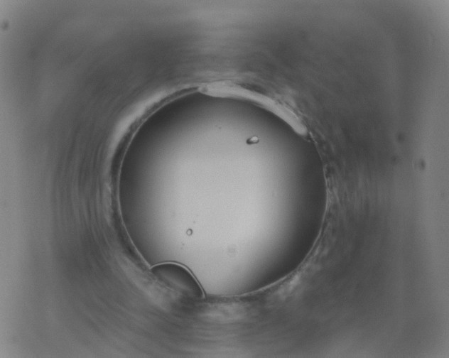 X0000074320342200609082012