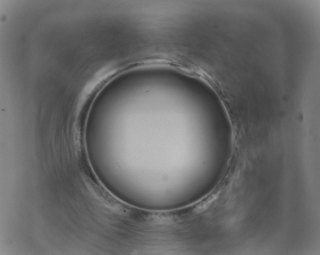 X0000074320343200609082013