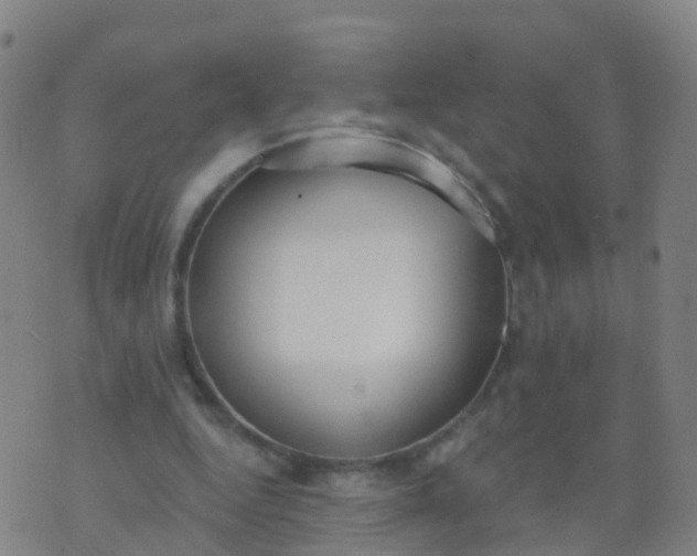 X0000074320344200609082013