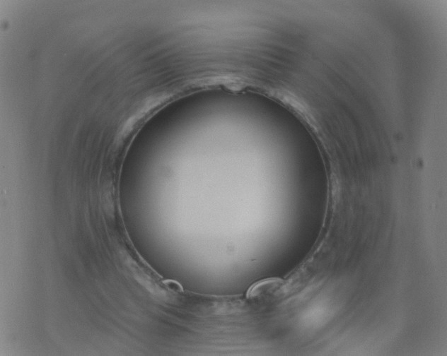 X0000074320345200609082013