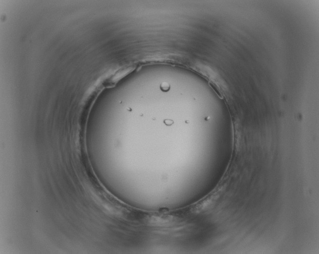 X0000074320346200609082013