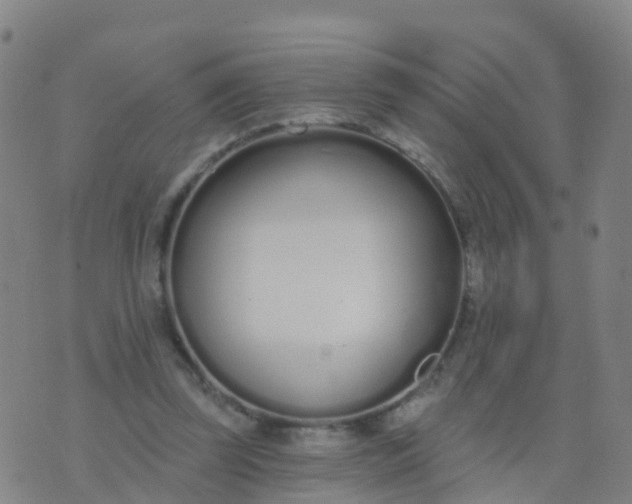 X0000074320347200609082013