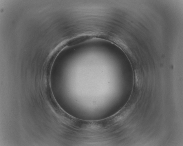 X0000074320348200609082013