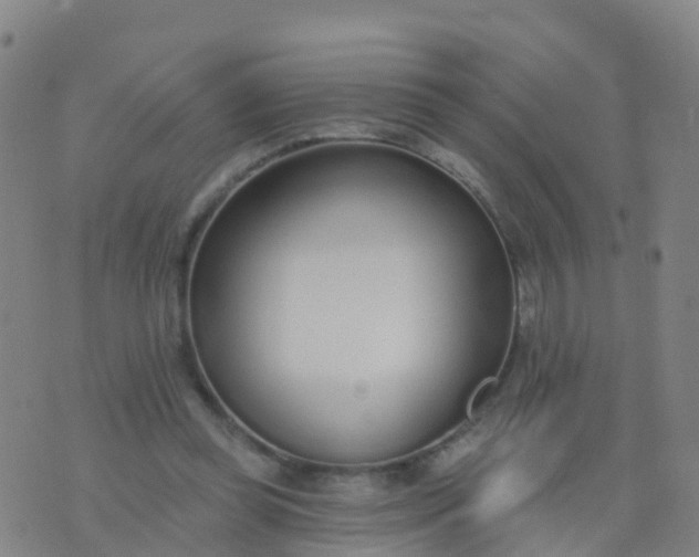 X0000074320349200609082013