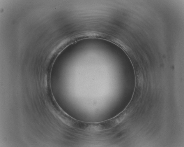 X0000074320350200609082013