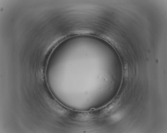 X0000074320351200609082013