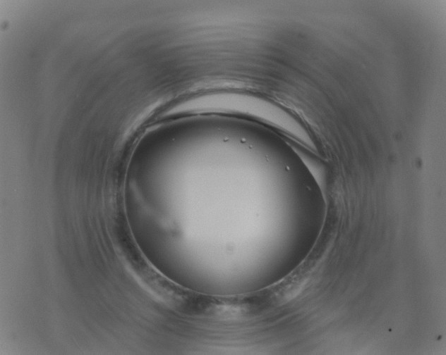 X0000074320352200609082013