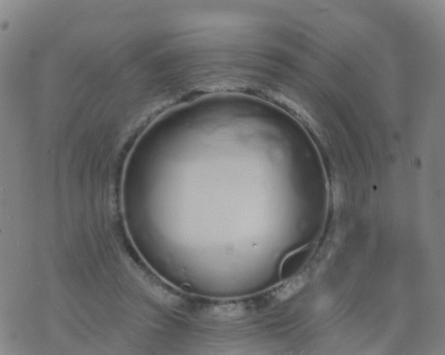 X0000074320353200609082013