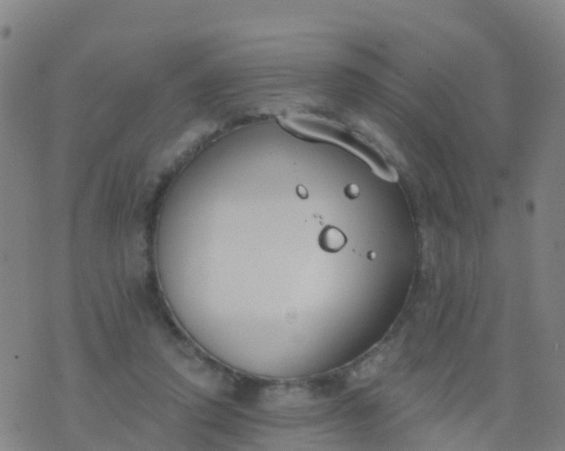 X0000074320354200609082013