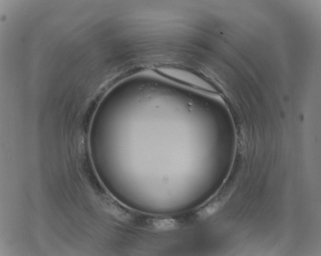 X0000074320355200609082013