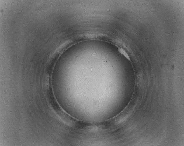 X0000074320356200609082013