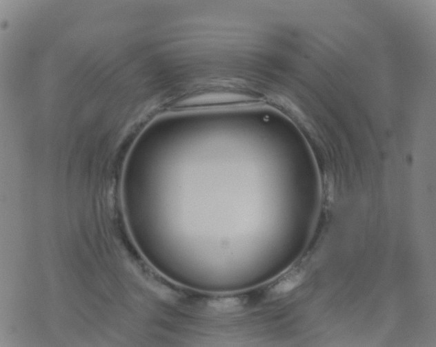 X0000074320357200609082013