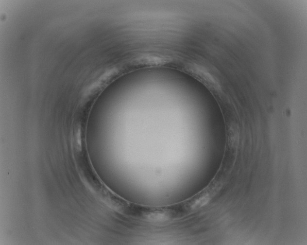 X0000074320358200609082013