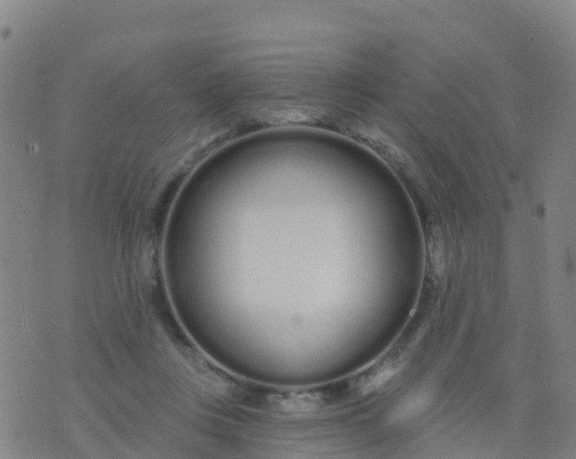 X0000074320359200609082013