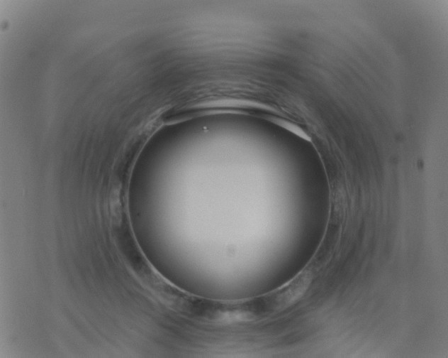 X0000074320360200609082013