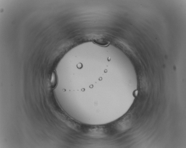 X0000074320362200609082013