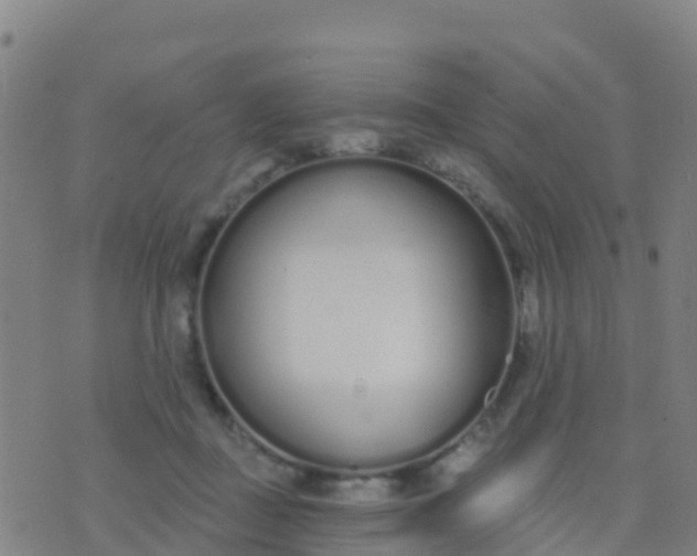 X0000074320363200609082013