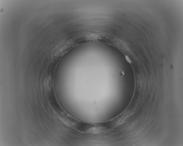 X0000074320364200609082013