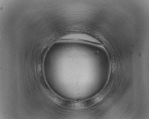 X0000074320365200609082013