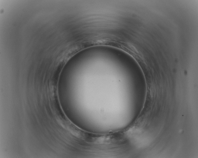 X0000074320366200609082013