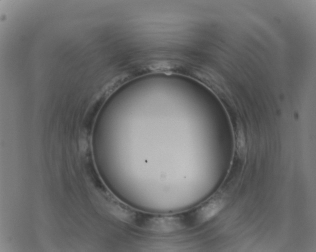 X0000074320367200609082013