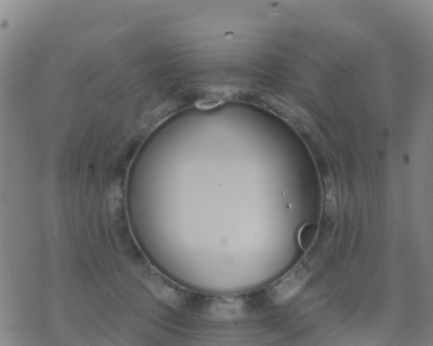 X0000074320369200609082013