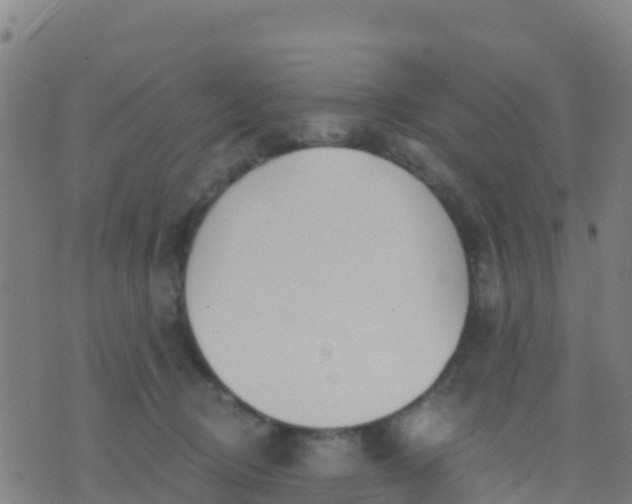 X0000074320370200609082013