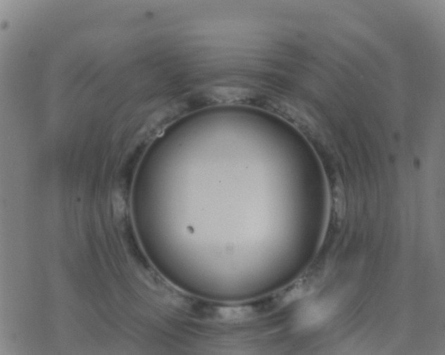 X0000074320371200609082013