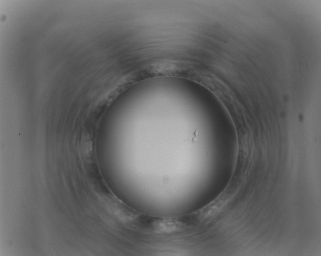 X0000074320372200609082013