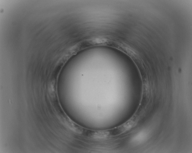 X0000074320373200609082013