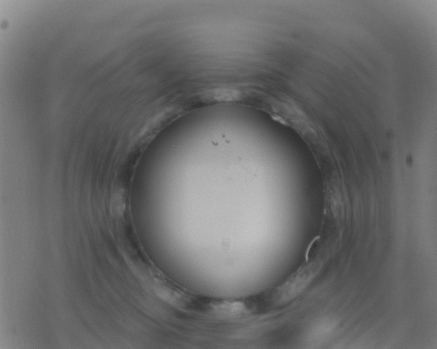 X0000074320374200609082013