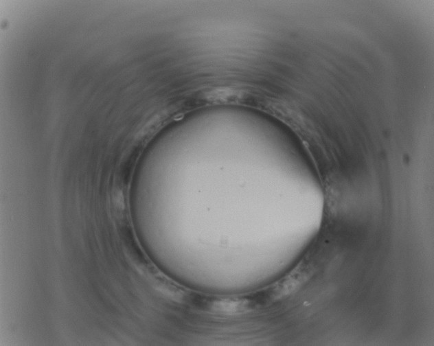 X0000074320375200609082013