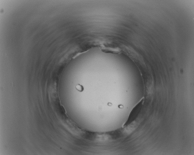 X0000074320376200609082013