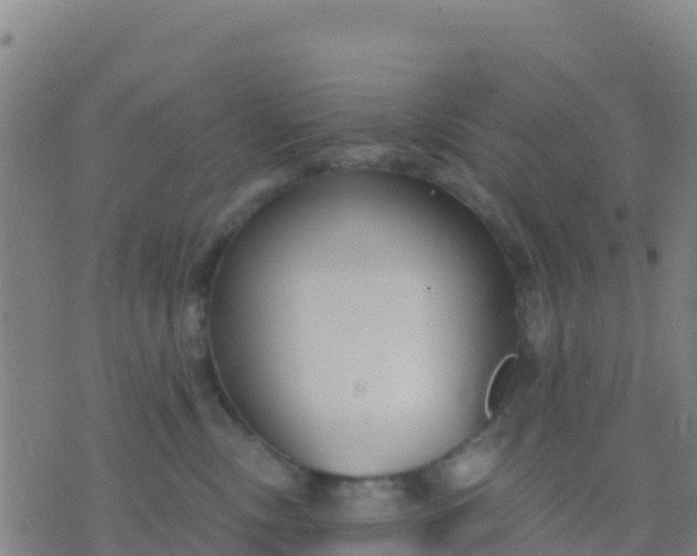 X0000074320378200609082013