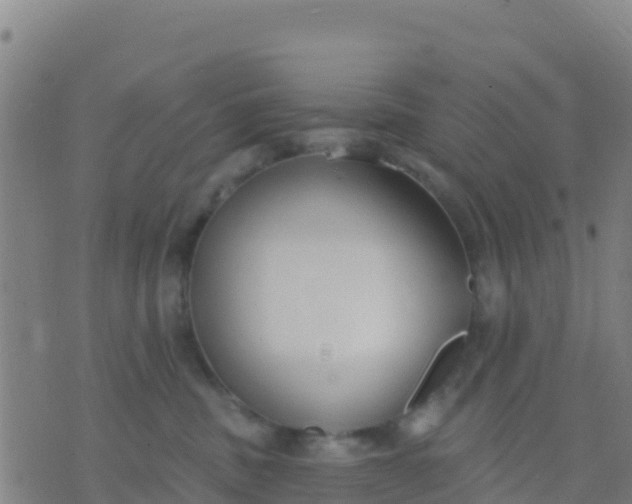 X0000074320379200609082013