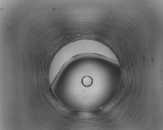 X0000074320380200609082013