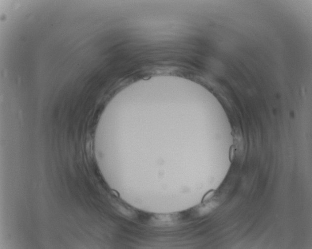 X0000074320381200609082013