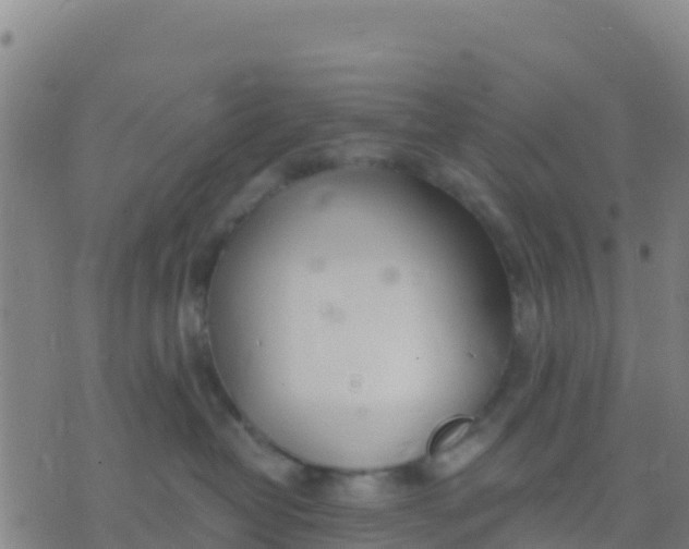 X0000074320382200609082013