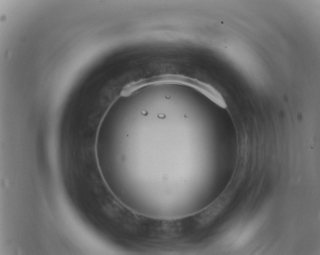 X0000074320383200609082013