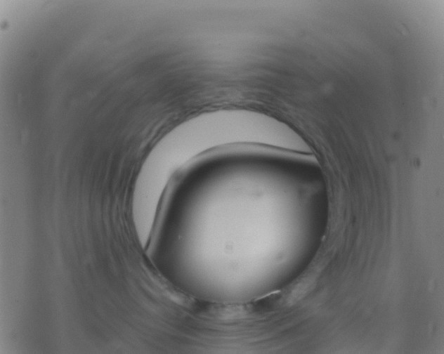 X0000074320384200609082013