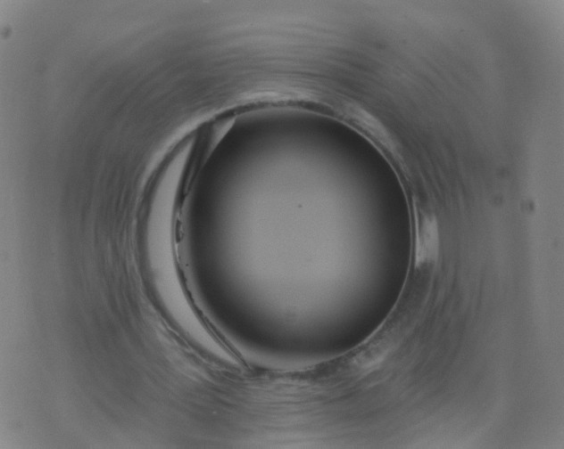 X0000074320387200609082012