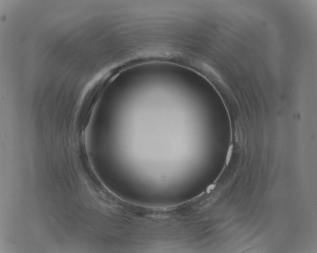 X0000074320388200609082012