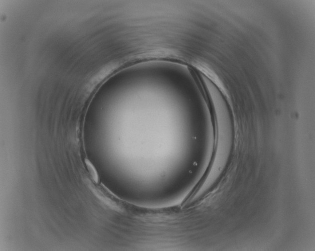 X0000074320389200609082012