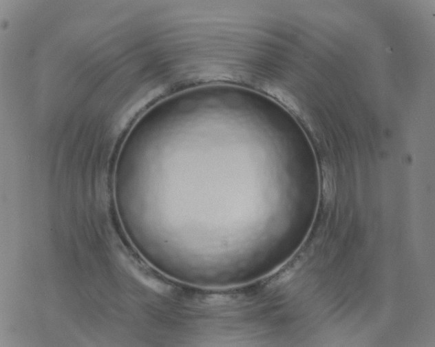 X0000074320390200609082012